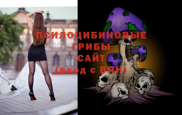 2c-b Пестово