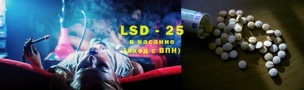 сатива Болотное
