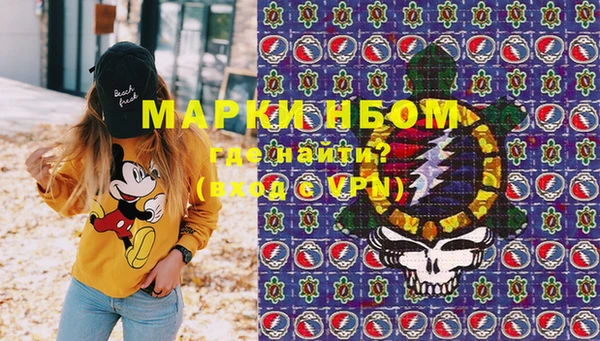 гидропоника Пересвет